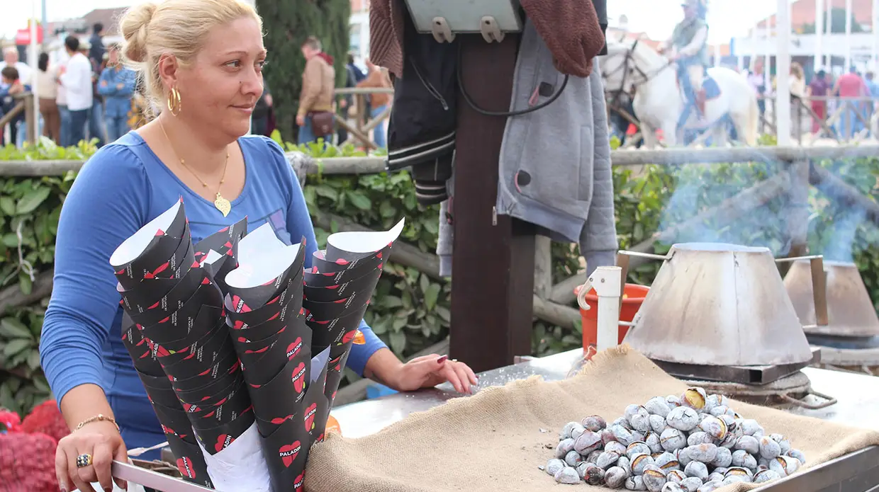 Feira do Cavalo na Golegã