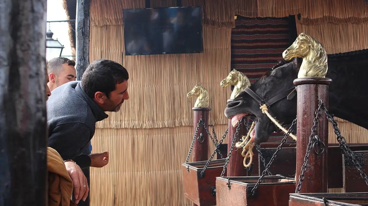 Feira do Cavalo na Golegã