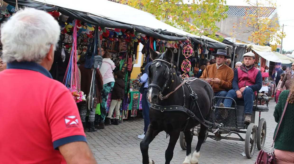 Feira do Cavalo na Golegã