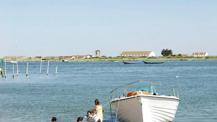 Vila Franca de Xira pressiona Agência do Ambiente por causa do Mouchão da Póvoa