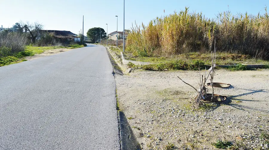 Rua do Moderno - Grainho (Santarém)