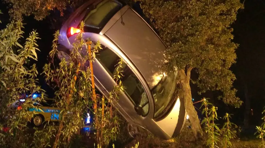 Ferido grave após despiste em Cabeça das Mós, Sardoal