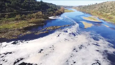 Manifestação popular contra nova vaga de poluição no Tejo