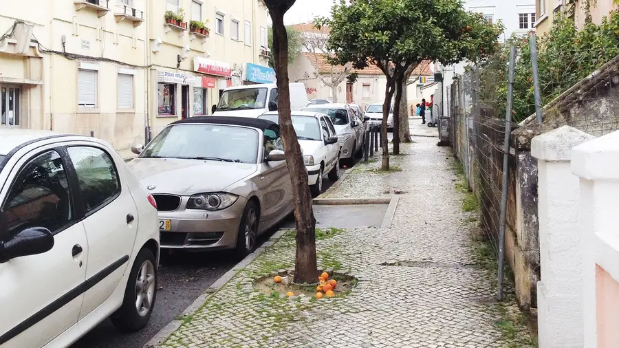 Alergia? Alergia?