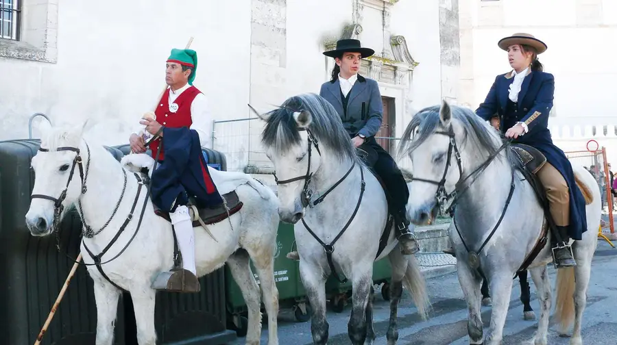 As Festas de São José As Festas de São José