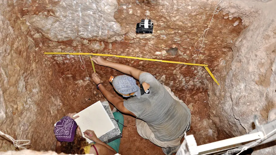 Encontrado em Torres Novas crânio humano mais antigo de sempre em Portugal