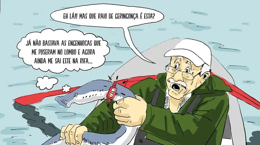 Má sorte ter nascido lampreia Má sorte ter nascido lampreia