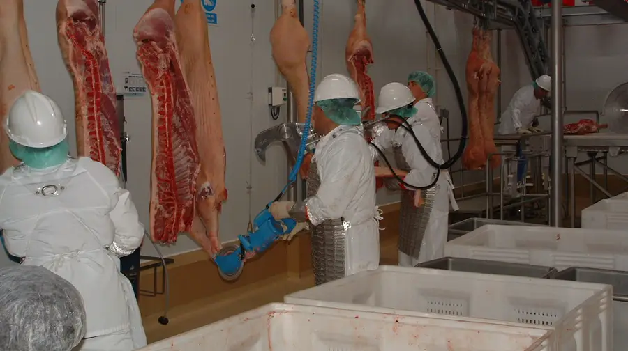 Modelo Continente absolvido de pagar 152 mil euros a trabalhadores da unidade de carnes de Santarém