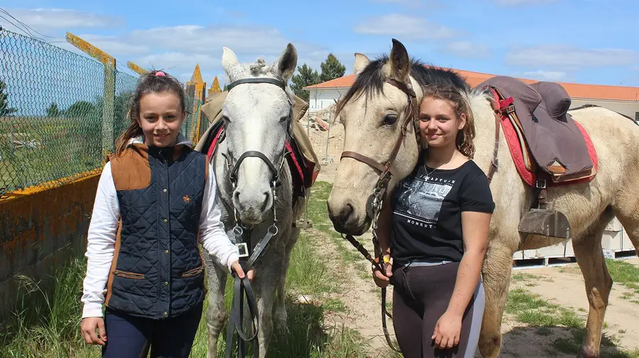 As miúdas dos cavalos