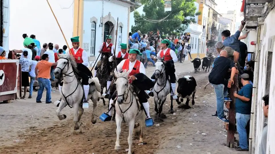 Feira de Maio na Azambuja - Imagens da festa
