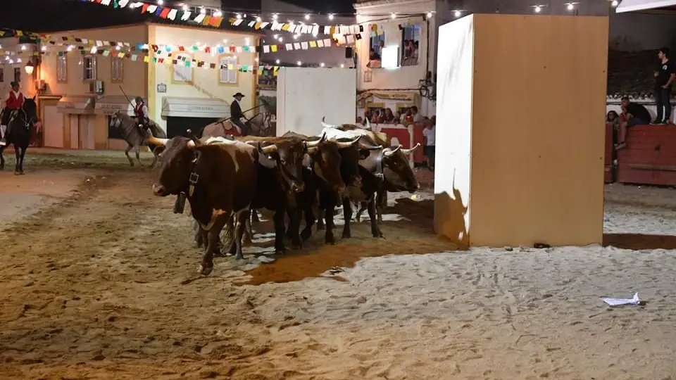 Feira de Maio na Azambuja - Imagens da festa