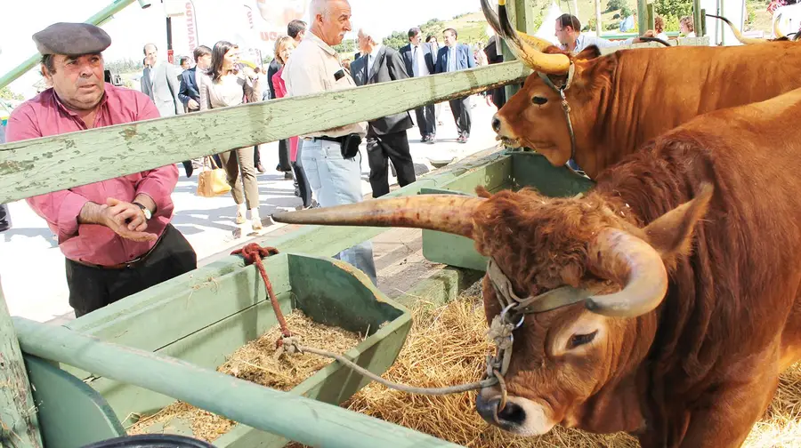 Ana Carolina e Ana Moura entre as atracções musicais da Feira Nacional de Agricultura