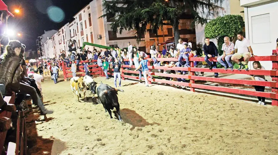 Música, tasquinhas e diversão não vão faltar nas Festas da Cidade de Almeirim