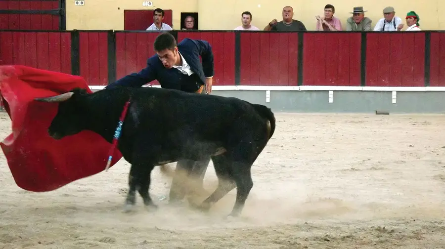 Anti-taurinos tentaram impedir aulas de toureio em Vila Franca de Xira Anti-taurinos tentaram impedir aulas de toureio em Vila Franca de Xira