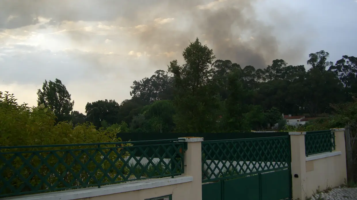 Quase meia centena de bombeiros combatem incêndio em Santarém