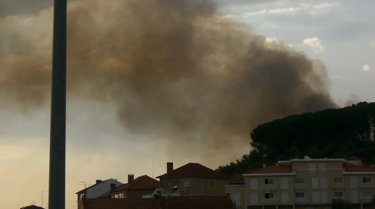 Quase meia centena de bombeiros combatem incêndio em Santarém