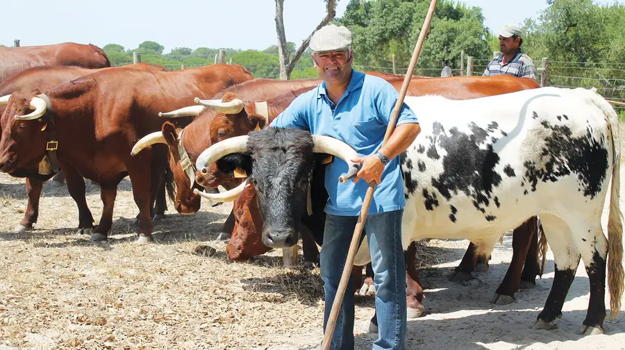 “Toda a minha vida foi no campo com os animais”