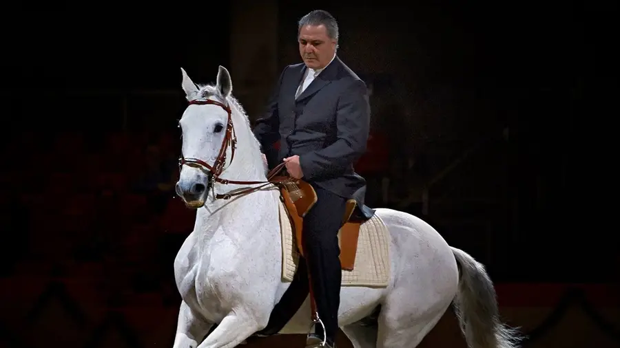 Manuel Jorge de Oliveira volta à arena para a Grande Corrida de O MIRANTE no Campo Pequeno