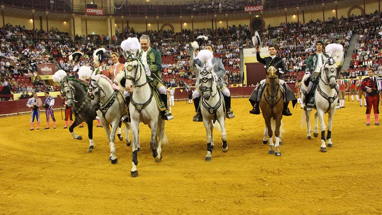 Grande Corrida O MIRANTE no Campo Pequeno