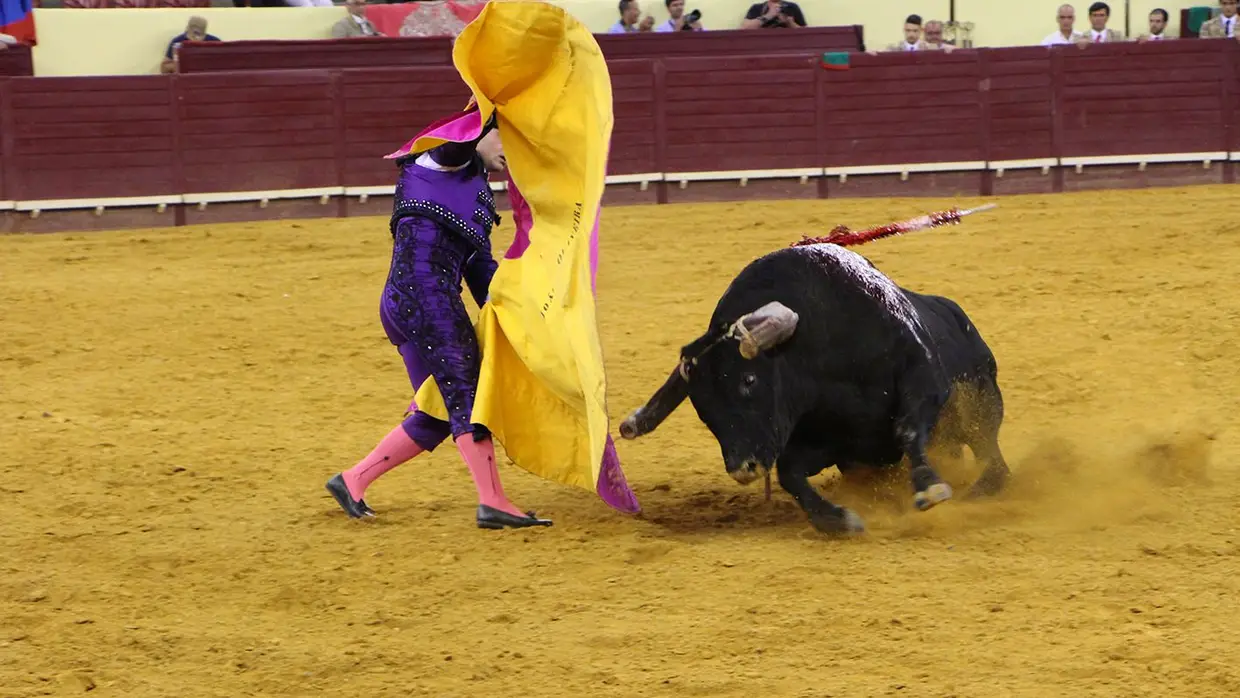 Grande Corrida O MIRANTE no Campo Pequeno