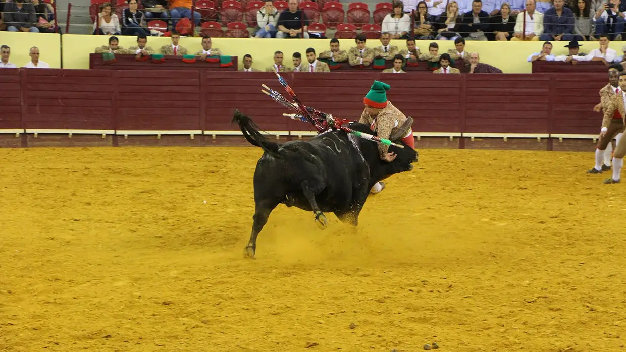 Grande Corrida O MIRANTE no Campo Pequeno