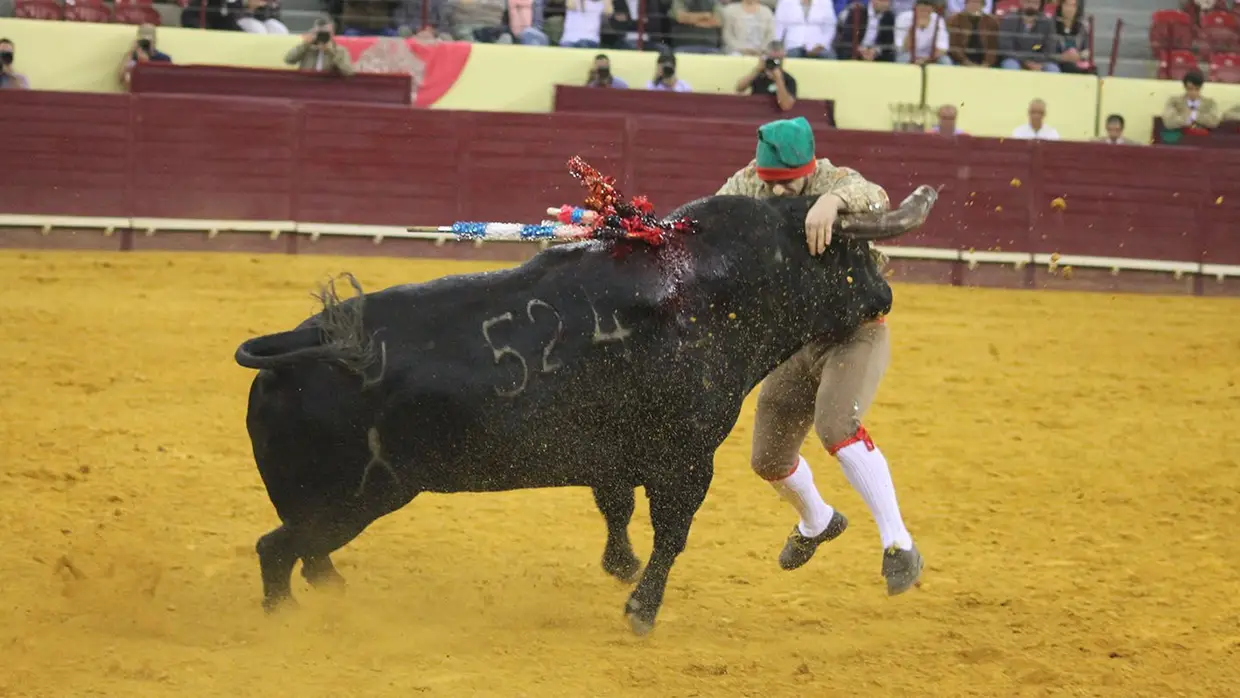 Grande Corrida O MIRANTE no Campo Pequeno