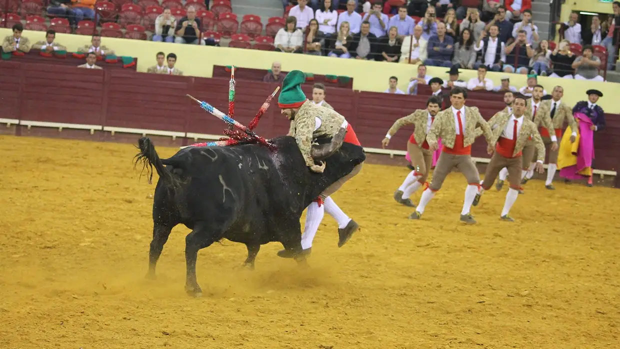 Grande Corrida O MIRANTE no Campo Pequeno