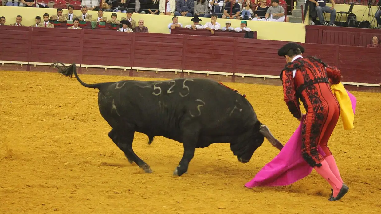 Grande Corrida O MIRANTE no Campo Pequeno