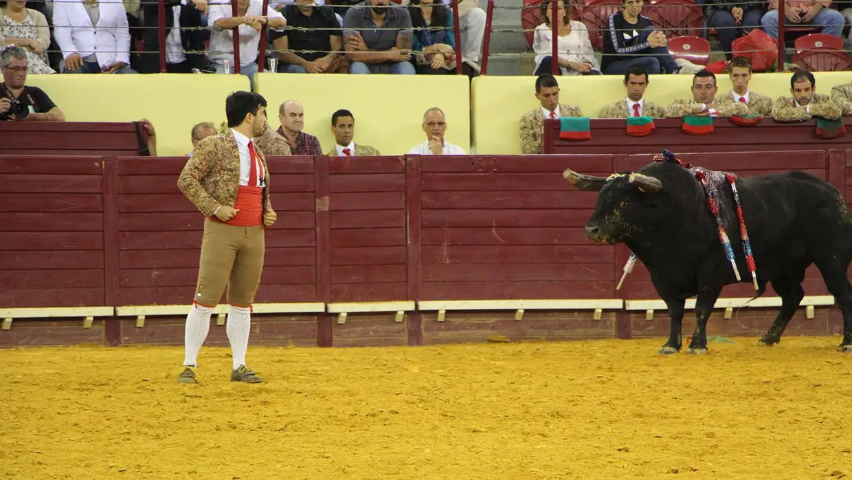 Grande Corrida O MIRANTE no Campo Pequeno