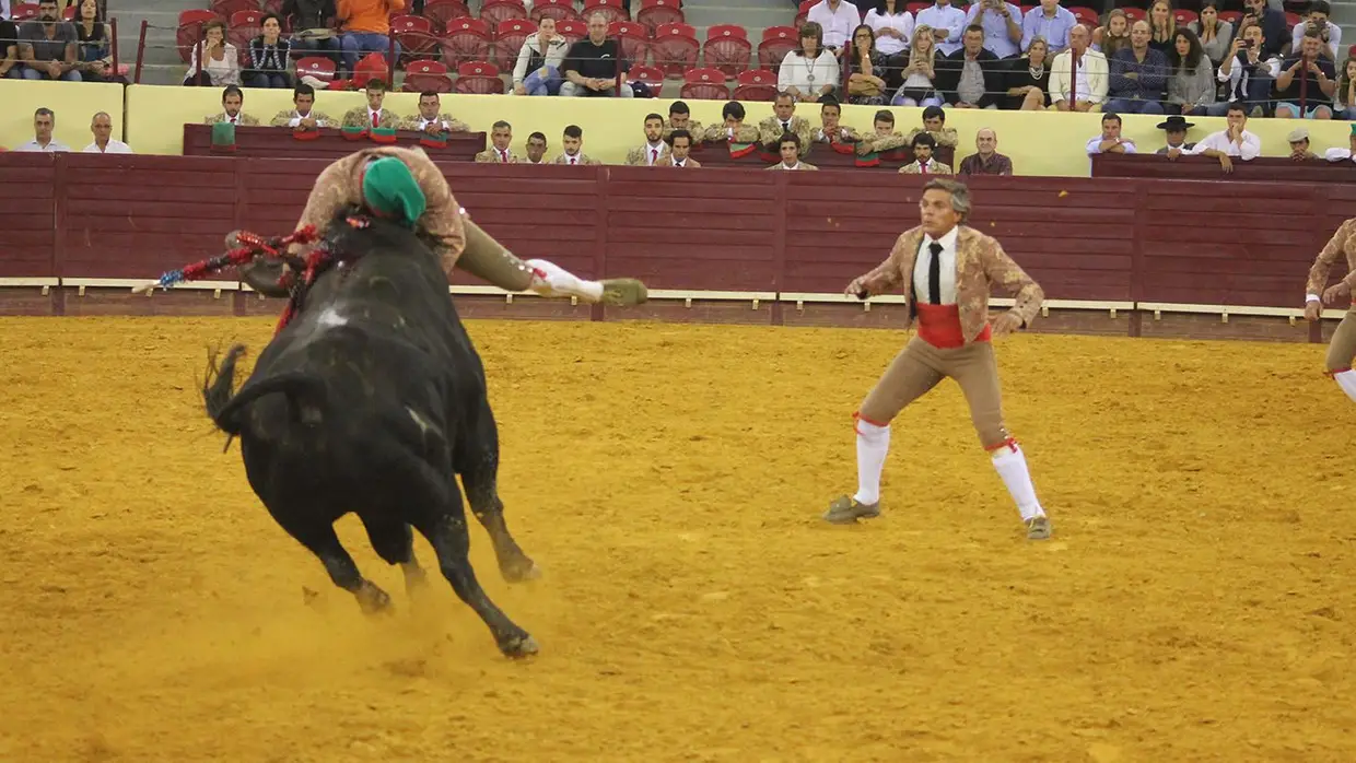 Grande Corrida O MIRANTE no Campo Pequeno