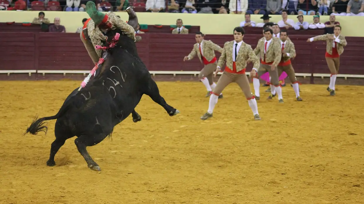 Grande Corrida O MIRANTE no Campo Pequeno