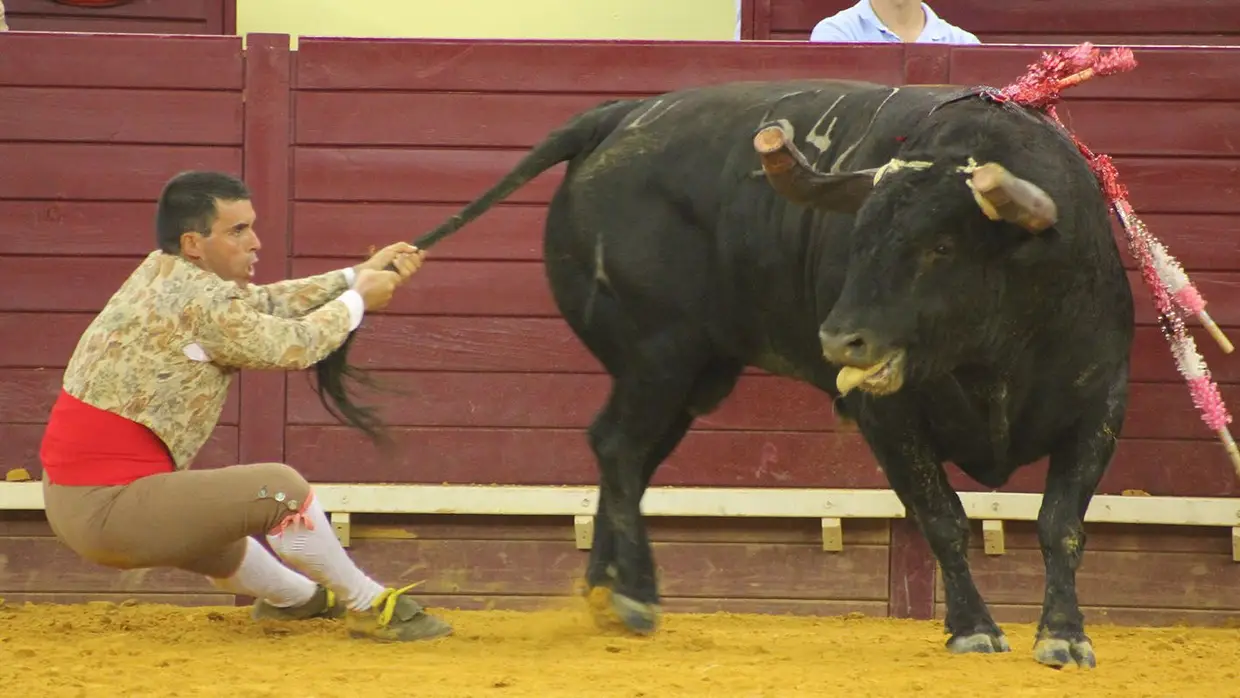 Grande Corrida O MIRANTE no Campo Pequeno