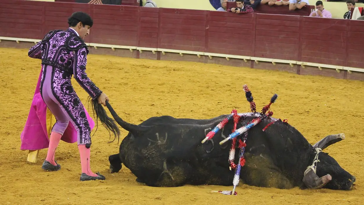 Grande Corrida O MIRANTE no Campo Pequeno