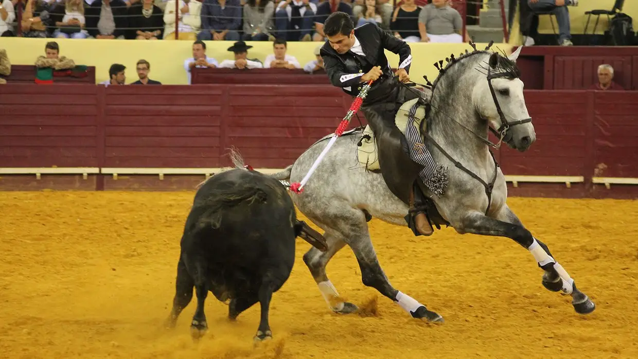 Grande Corrida O MIRANTE no Campo Pequeno