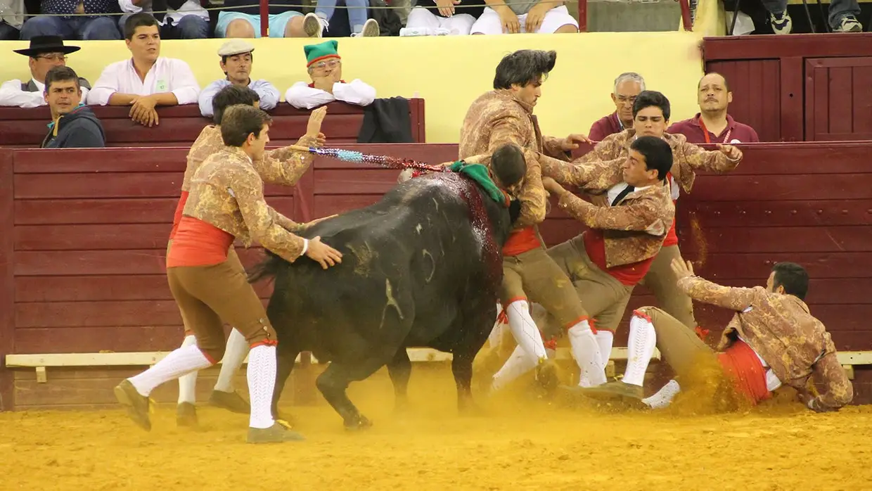 Grande Corrida O MIRANTE no Campo Pequeno