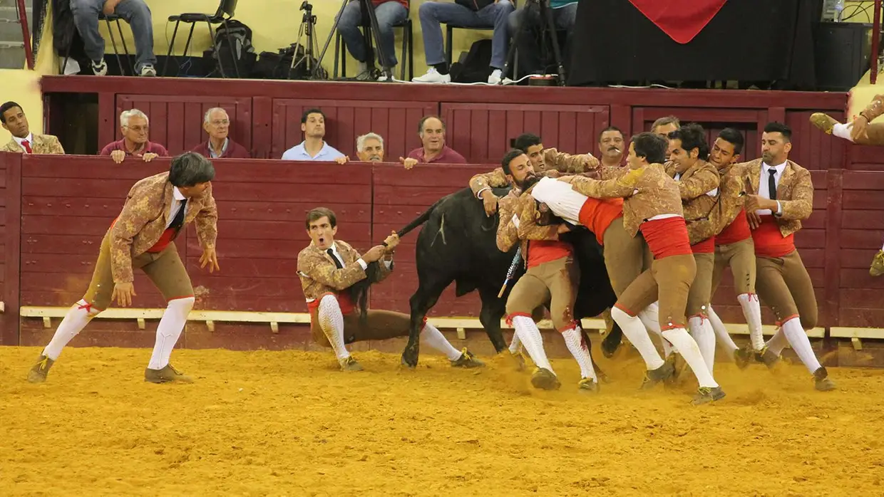 Grande Corrida O MIRANTE no Campo Pequeno