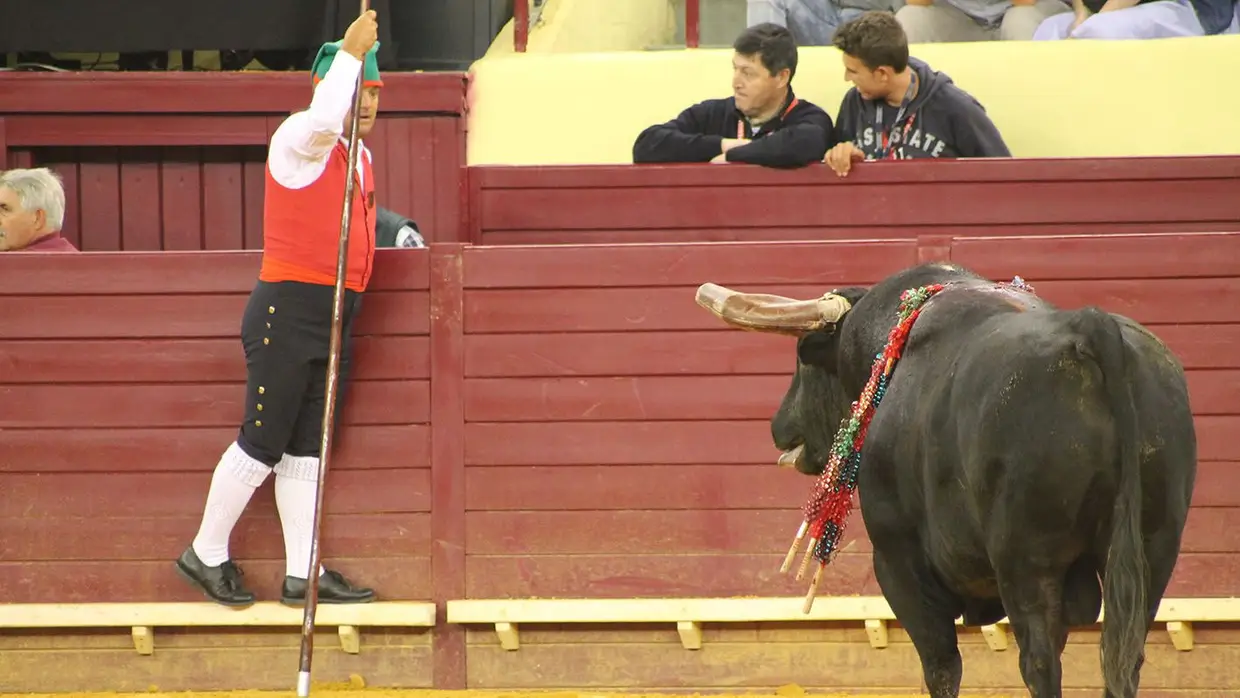 Grande Corrida O MIRANTE no Campo Pequeno