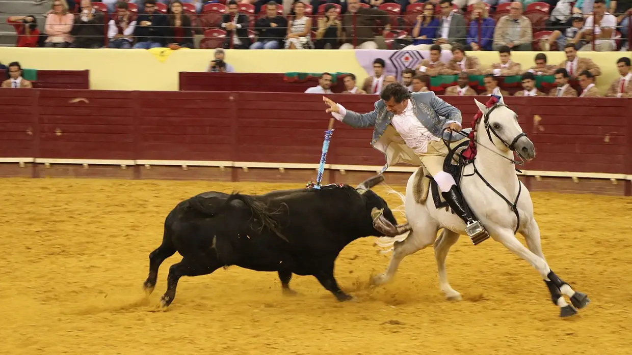 Grande Corrida O MIRANTE no Campo Pequeno