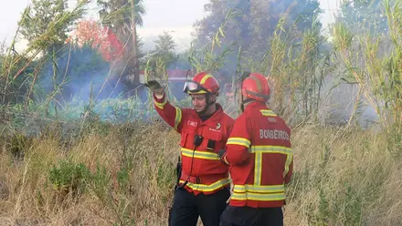 Cinco bombeiros feridos em incêndio em Abrantes