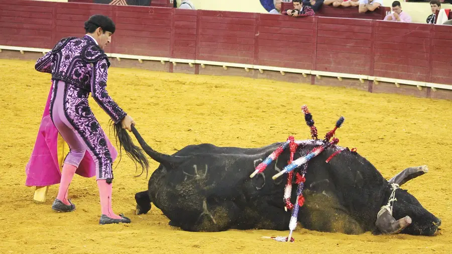 O descanso do guerreiro