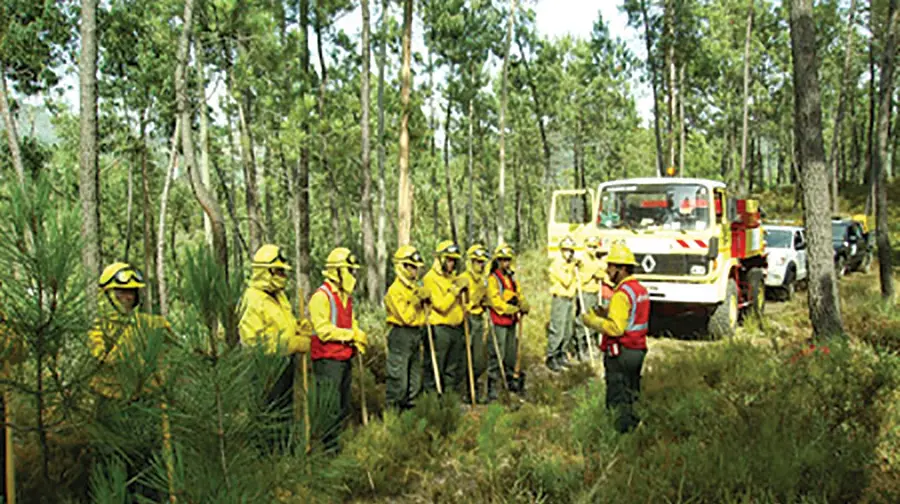 Feridos com gravidade em incêndio no Tramagal estão livres de perigo