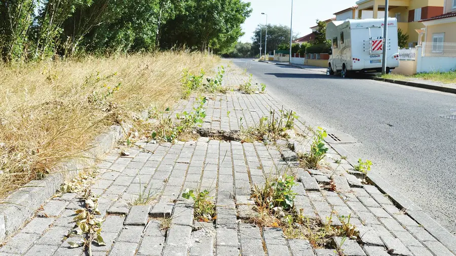 Rua Capitão Luís da Piedade Faria – Santarém Rua Capitão Luís da Piedade Faria – Santarém