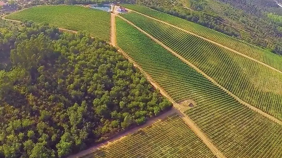 Vinhos da Herdade dos Templários continuam a receber prémios de prestígio