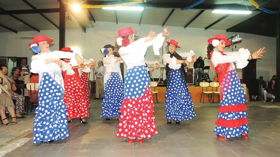 Muito salero em Vale de Figueira Muito salero em Vale de Figueira