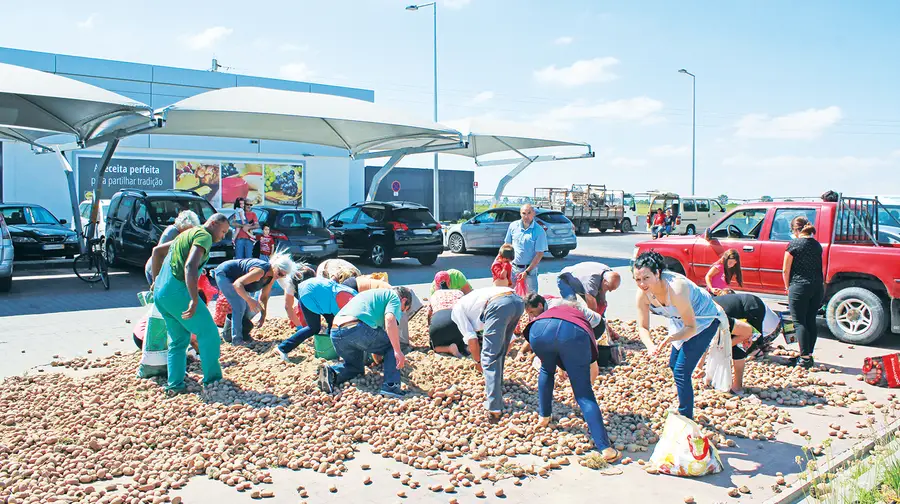 Produtores protestam despejando batatas à porta de hipermercados de Salvaterra de Magos