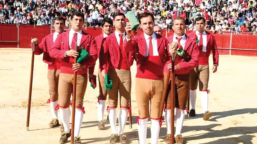 Festival da Sopa de Pedra em Almeirim com corrida nocturna a terminar no recinto Festival da Sopa de Pedra em Almeirim com corrida nocturna a terminar no recinto