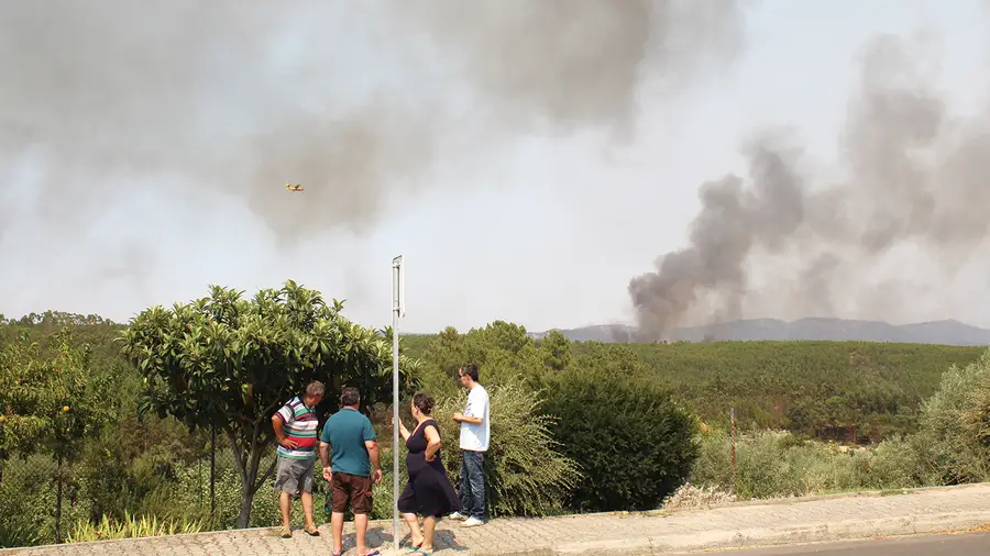 Mação pede estatuto de calamidade pública ao Governo por causa dos fogos