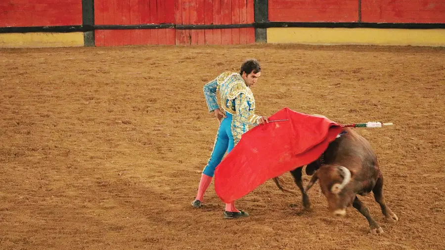 Manuel Dias Gomes foi o triunfador da Corrida do Emigrante em Tomar