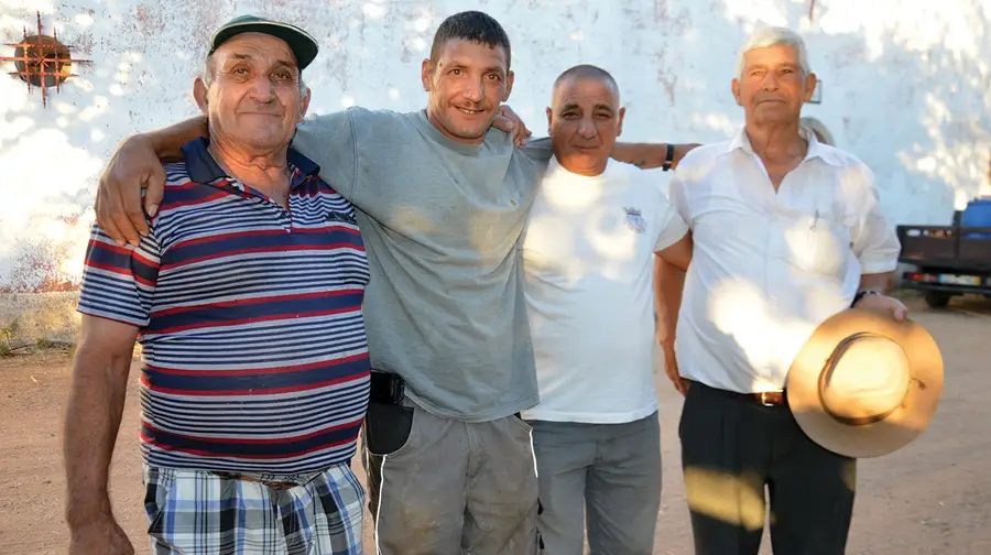 Ajudantes da praça lidam com os toiros longe da vista dos espectadores