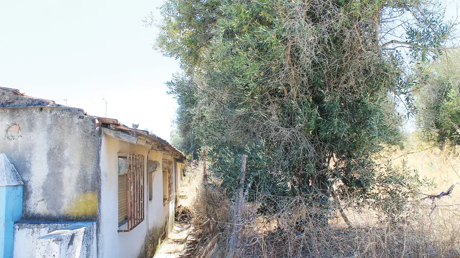 Bairro do Casal do Areeiro – Sobralinho (Vila Franca de Xira)